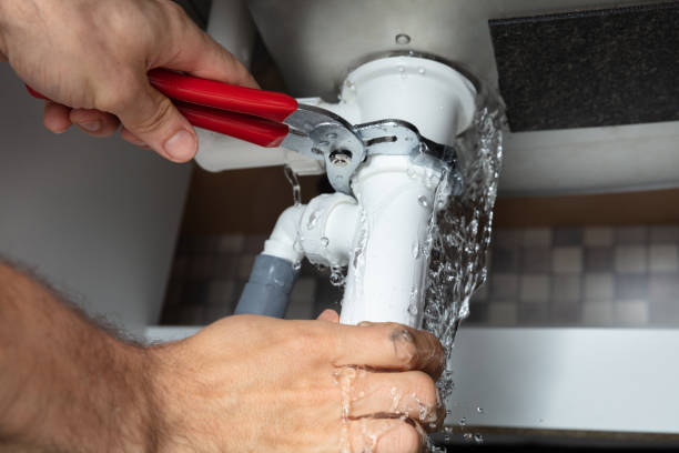 Best Carpet water damage restoration  in Passaic, NJ
