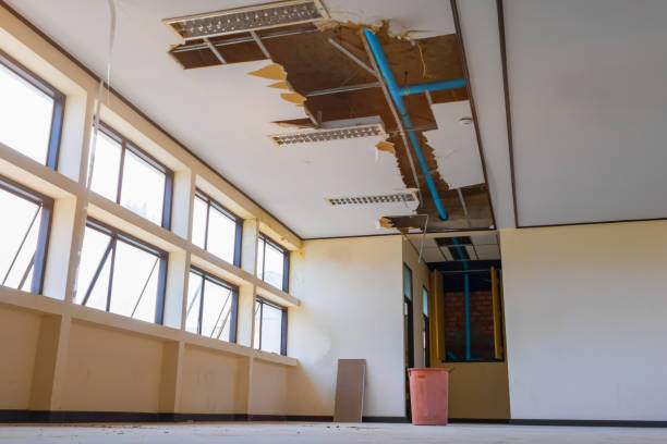 Best Professional water damage repair  in Passaic, NJ