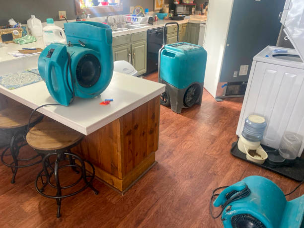 Reliable Passaic, NJ Water damage restoration Solutions