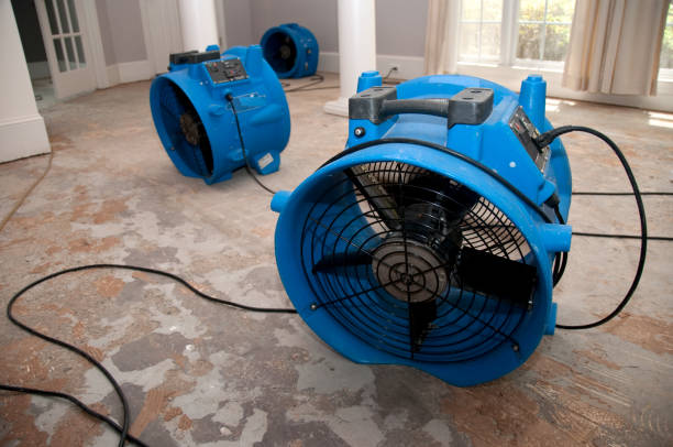 Best Emergency water damage restoration  in Passaic, NJ