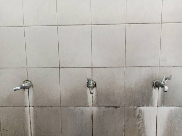  Passaic, NJ Water damage restoration Pros