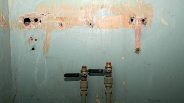 Best Flood restoration services  in Passaic, NJ