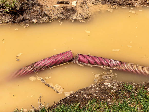 Best Water damage mitigation services  in Passaic, NJ